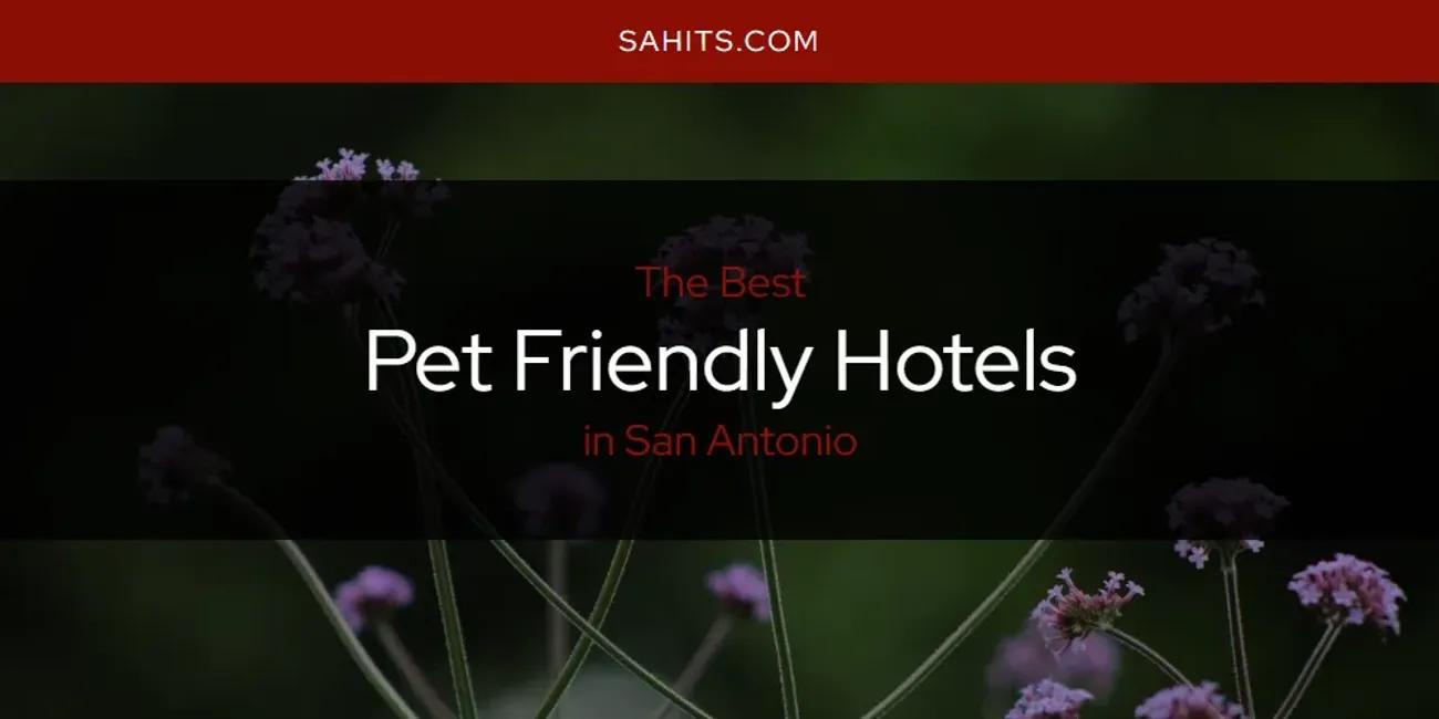 San Antonio's Best Pet Friendly Hotels [Updated 2024]