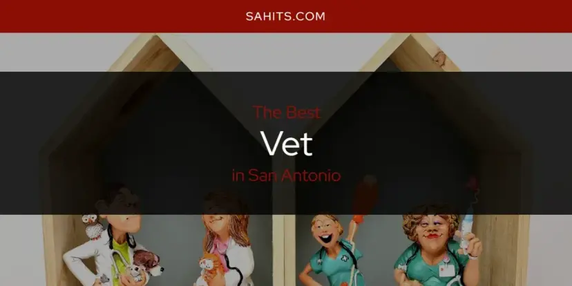 San Antonio's Best Vet [Updated 2024]