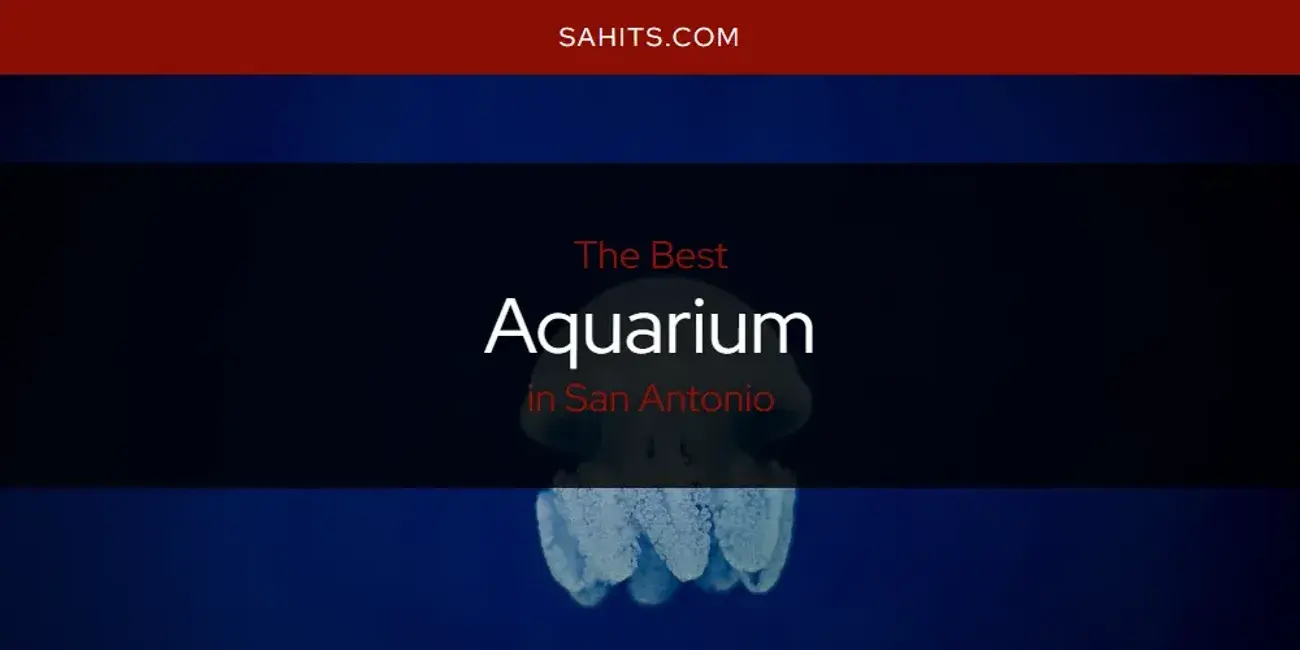 The Absolute Best Aquarium in San Antonio  [Updated 2024]