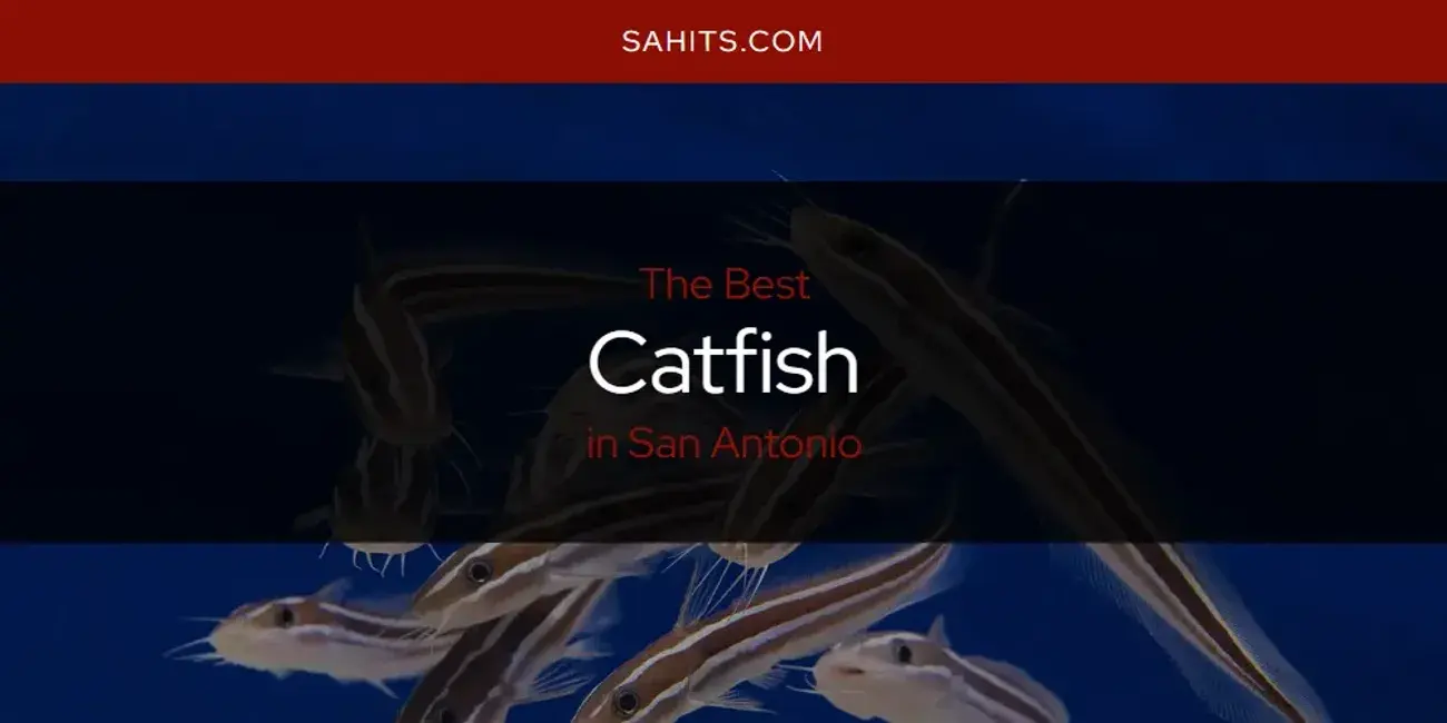 The Absolute Best Catfish in San Antonio  [Updated 2024]