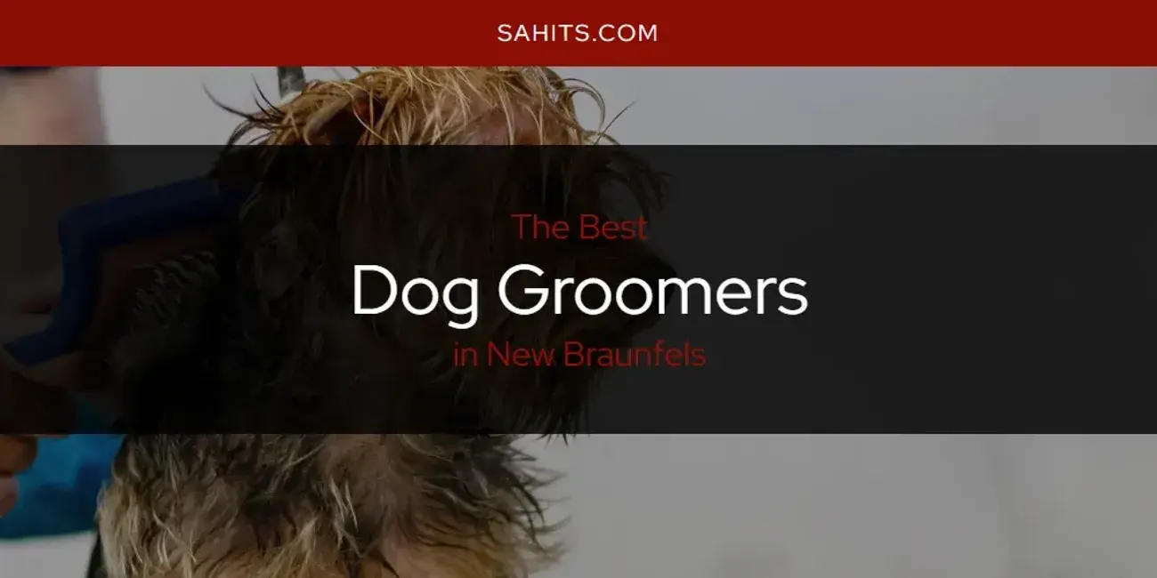 The Absolute Best Dog Groomers in New Braunfels  [Updated 2024]