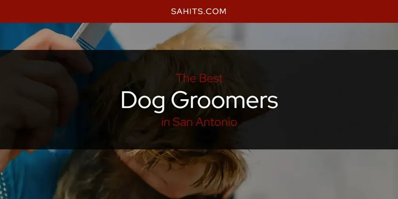 The Absolute Best Dog Groomers in San Antonio  [Updated 2024]