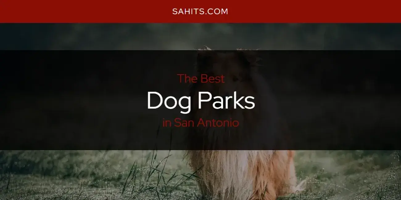 The Absolute Best Dog Parks in San Antonio  [Updated 2024]