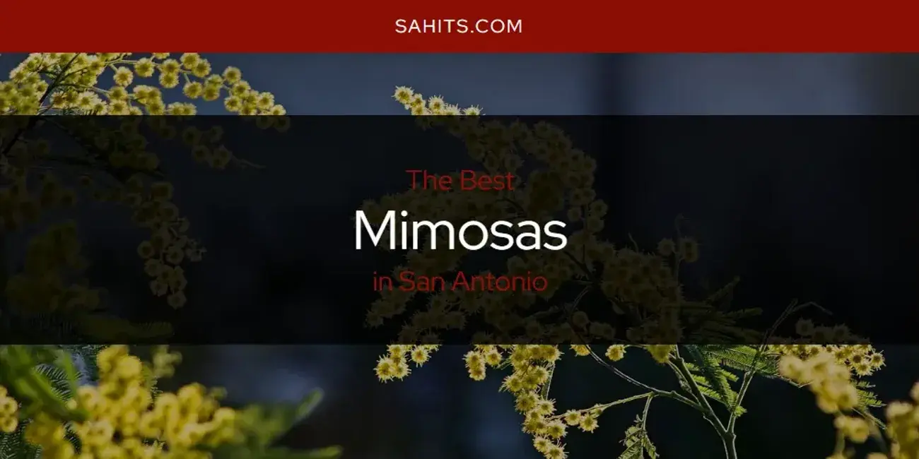 San Antonio's Best Mimosas [Updated 2024]