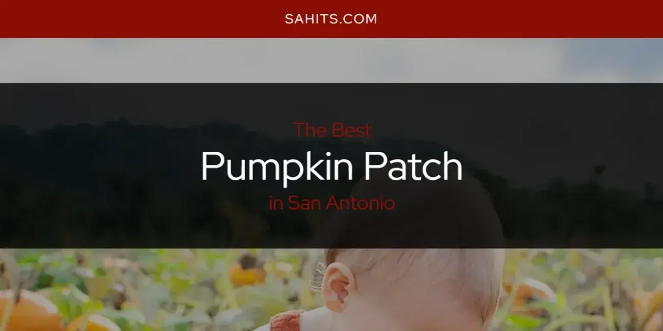 San Antonio's Best Pumpkin Patch [Updated 2024]