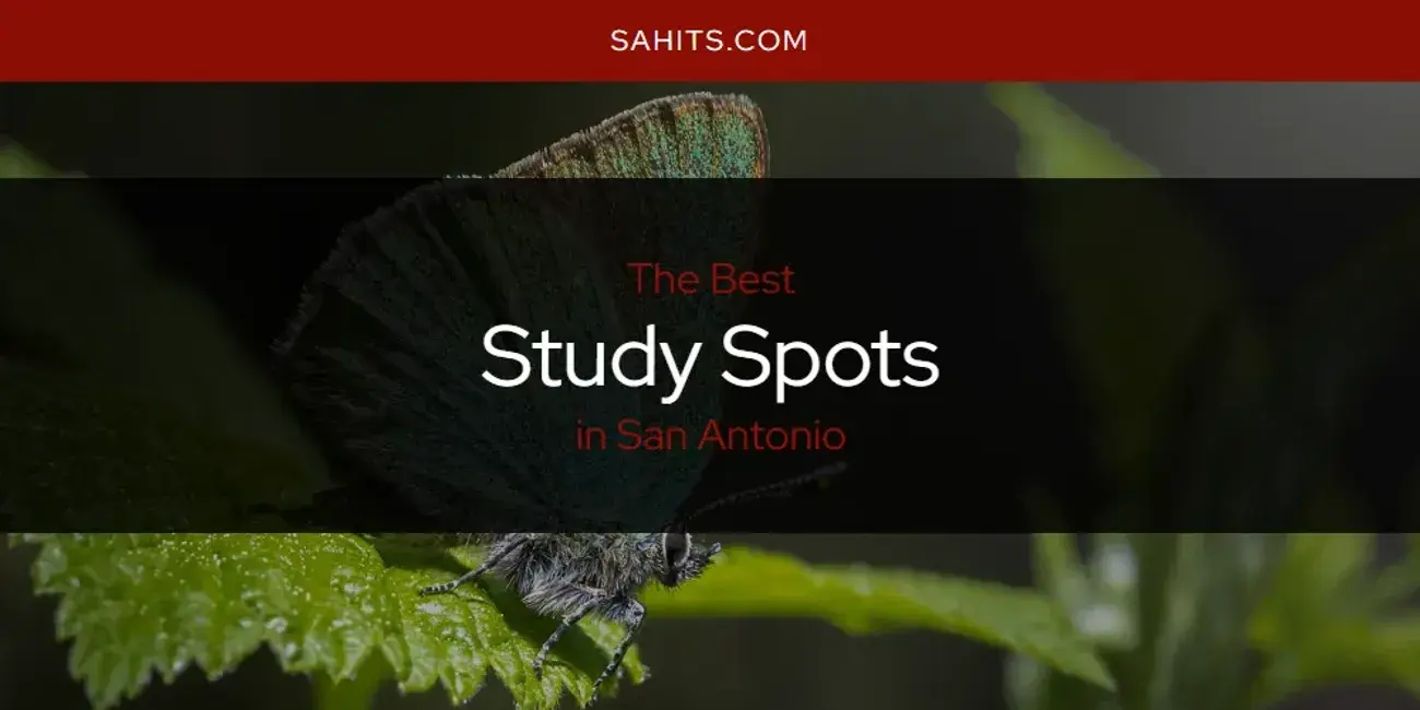 San Antonio's Best Study Spots [Updated 2023]