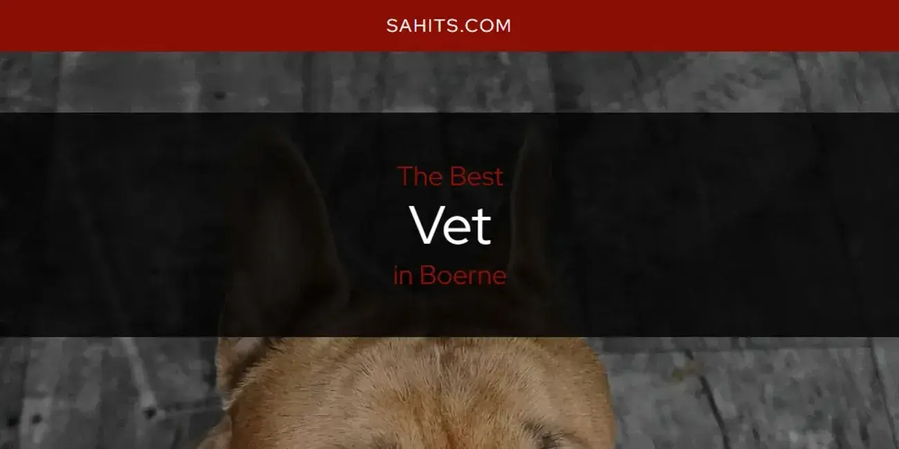 Boerne's Best Vet [Updated 2024]