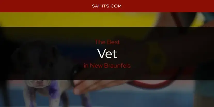 New Braunfels' Best Vet [Updated 2024]