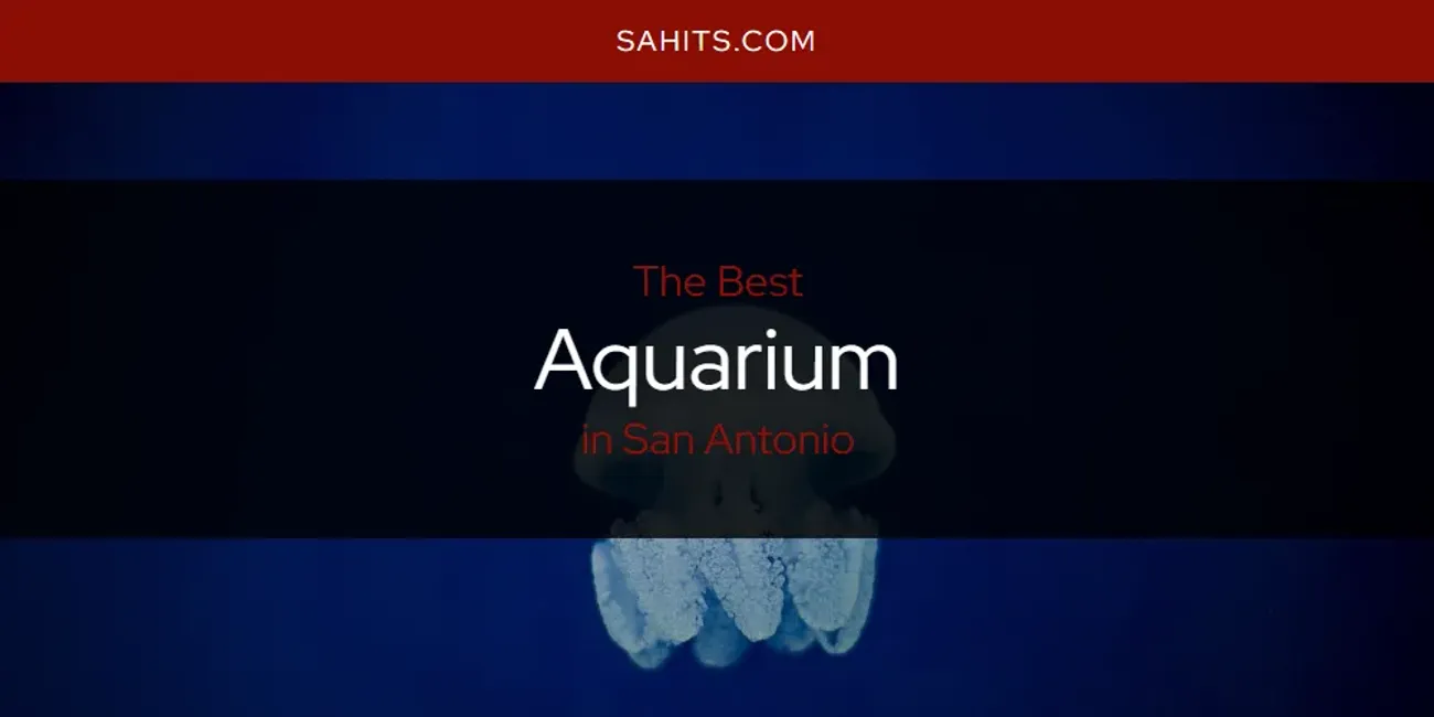The Top-Rated Aquarium in San Antonio for 2026