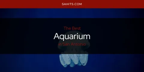 The Top-Rated Aquarium in San Antonio
