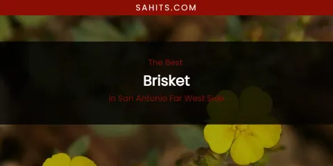 San Antonio Far West Side's Best Brisket