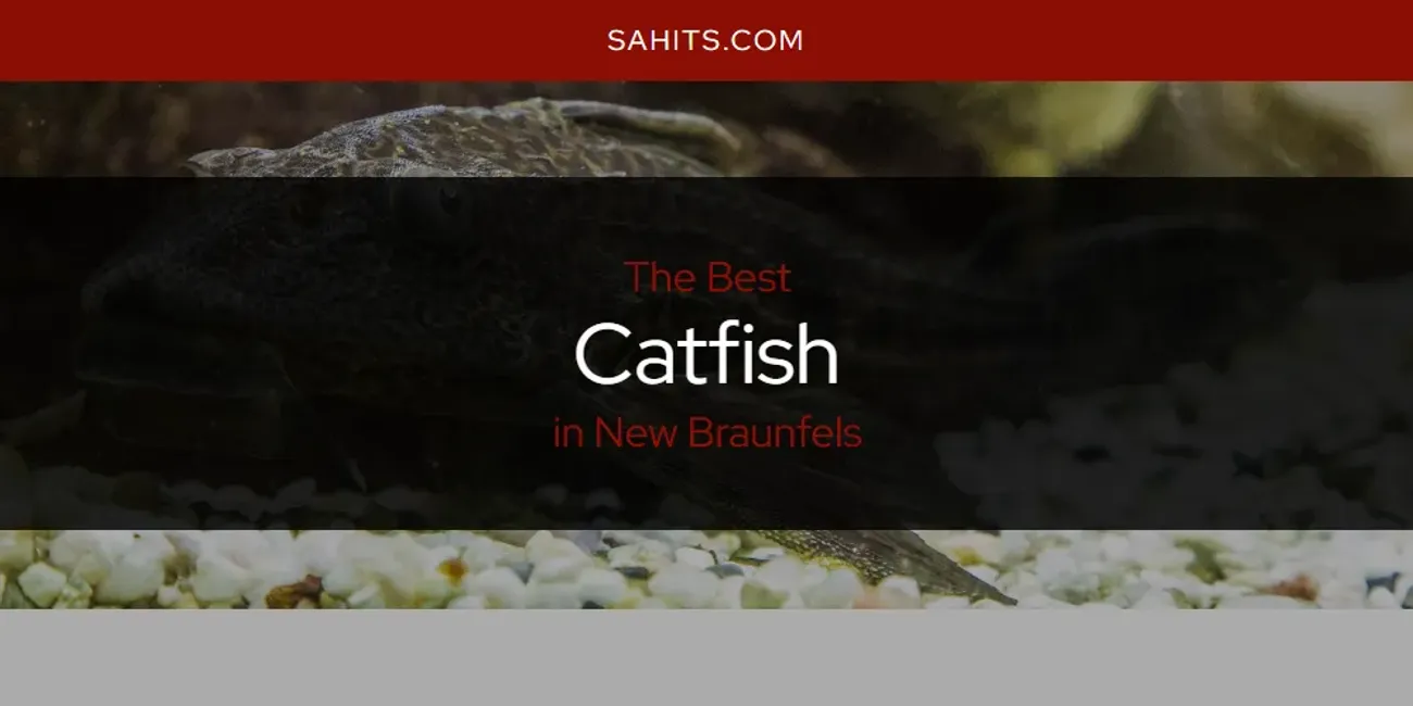 New Braunfels' Best Catfish Spots