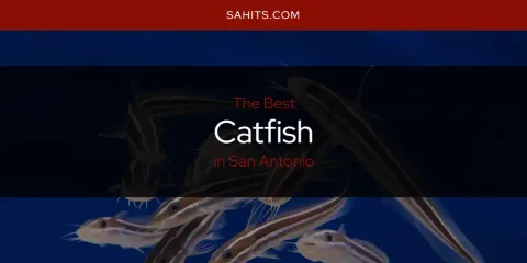 San Antonio's Best Catfish Spots