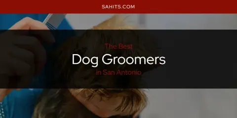The Best Dog Groomers in San Antonio List