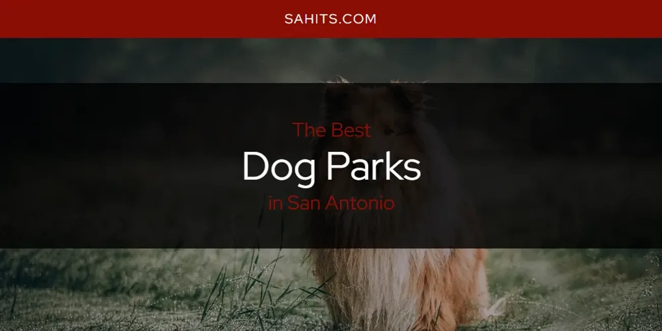 Best Dog Parks in San Antonio: 2026 Ultimate Guide