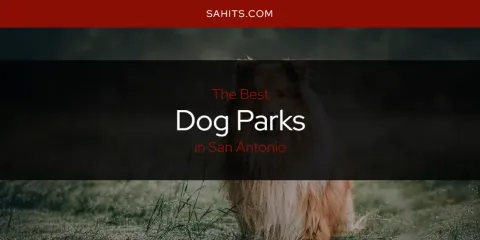 Best Dog Parks in San Antonio: Ultimate Guide