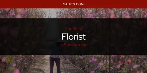 Guide to Best Florist in San Antonio