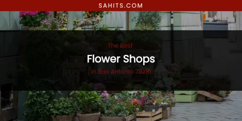San Antonio 78216's Best Flower Shops