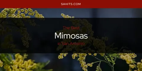 Best Mimosas in San Antonio: Ultimate Guide