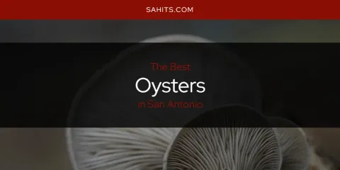 The Best Oysters in San Antonio