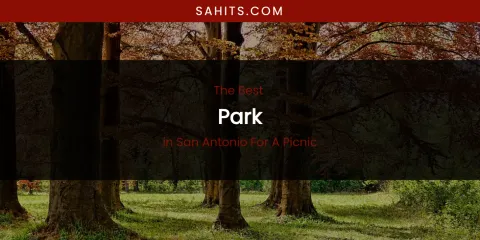 San Antonio for a Picnic's Best Park