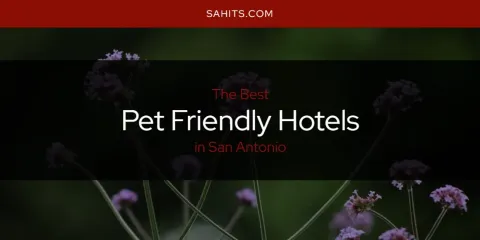 San Antonio's Best Pet Friendly Hotels