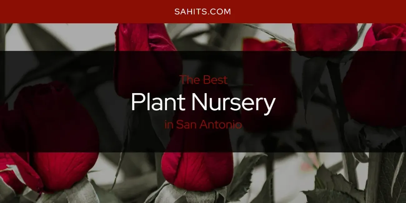 Discover the Best Plant Nursery in San Antonio (2025)
