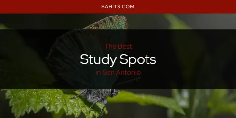 San Antonio's Best Study Spots